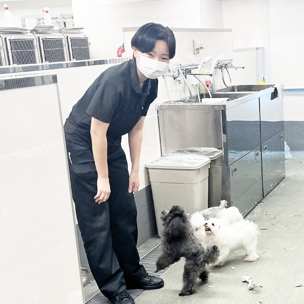 室内でＷａｎ活♪